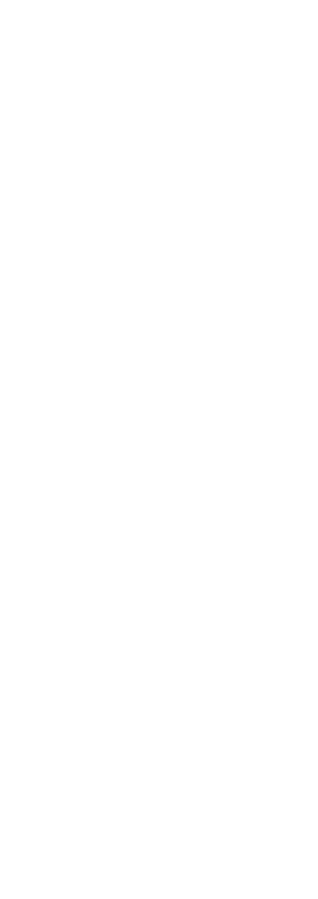 Poulima Digital's SEO Services